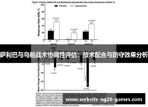 萨利巴与乌帕战术协调性评估：技术配合与防守效果分析