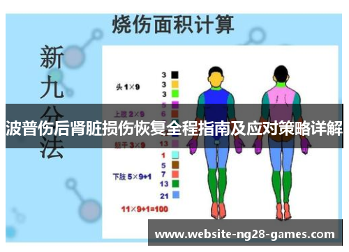 波普伤后肾脏损伤恢复全程指南及应对策略详解