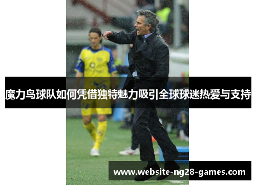 魔力鸟球队如何凭借独特魅力吸引全球球迷热爱与支持