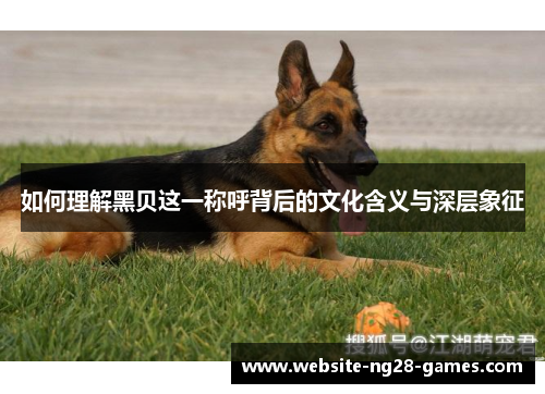 如何理解黑贝这一称呼背后的文化含义与深层象征