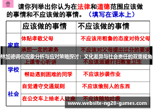 林加德调侃现象分析与应对策略探讨：文化差异与社会责任的双重视角