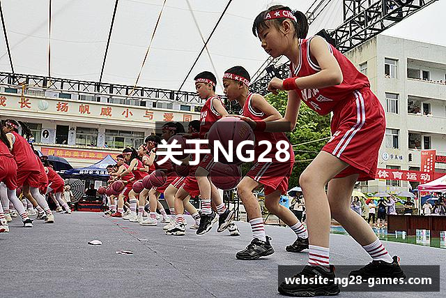 关于NG28